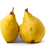 洋なし＜シャーベット＞