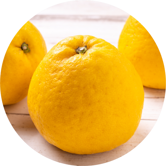 河内晩柑＜シャーベット＞