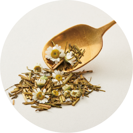 ほうじ茶カモミールラテ