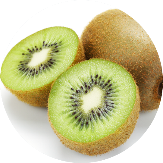 キウイフルーツ＜シャーベット＞