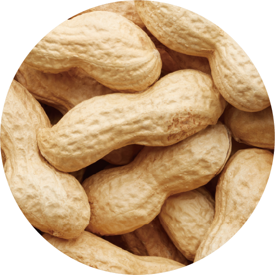 ピーナッツバターミルク