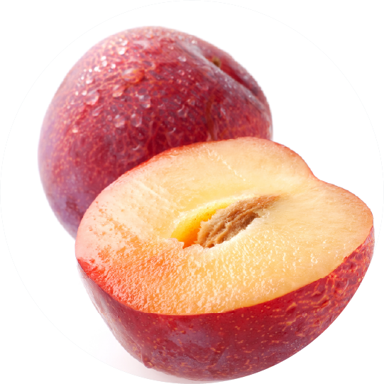 プラム＜シャーベット＞