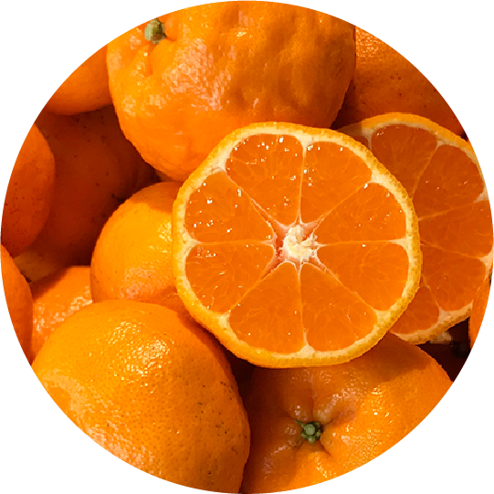 ぽんかんミルク