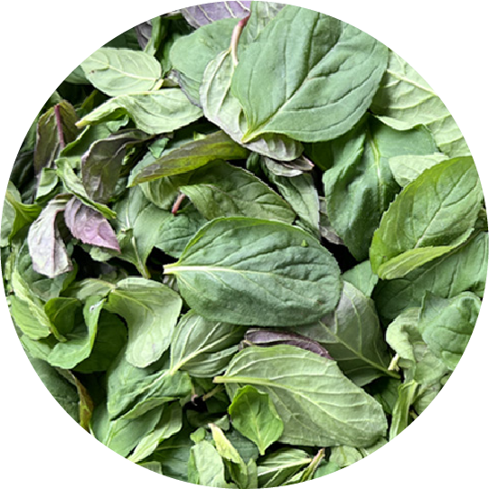 和薄荷カカオニブ